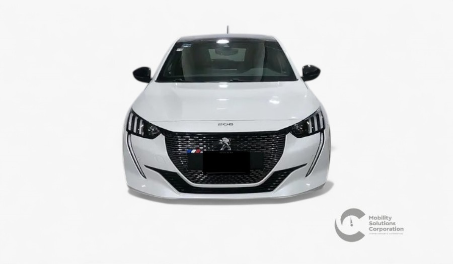Auto 1